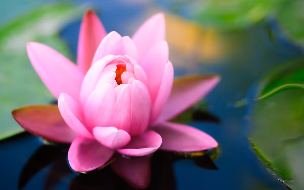 Những phẩm chất trên giúp cho người tuổi Tý có được khả năng kiếm tiền nhạy bén. Bắt đầu từ năm 40 tuổi, mọi việc của con giáp này đều thành công rực rỡ, tài phú rộng mở, tài vận vượng phát, có thể trở nên giàu có chỉ sau một đêm. Ảnh: baidu.com.