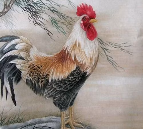 Tuổi Dậu: Người tuổi Dậu thẳng thắn, cởi mởi, phóng khoáng, hơn nữa, đầu óc lại vô cùng linh hoạt nên tỉ lệ thành công rất cao.