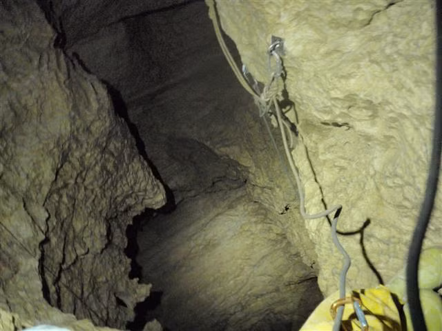 Krubera-Voronya cũng là nơi sinh sống của Plutomurus ortobalaganensis, một trong những loài động vật sống trên cạn sâu nhất trên Trái đất. Loài côn trùng không có cánh, không có mắt này sống ở độ sâu đáng kinh ngạc 1.981 mét bên dưới lối vào hang, kiếm sống bằng cách ăn nấm, vật liệu hữu cơ thối rữa trong hang. Ảnh: @Flickr.