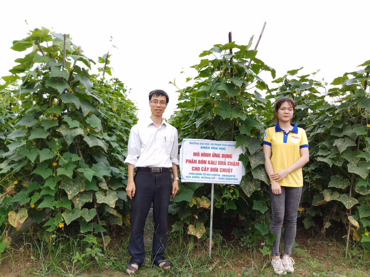 Nhờ tính sáng tạo và khả năng mang lại hiệu quả cao, sản phẩm phân bón nhả chậm thông minh của TS. Trần Quốc Toàn và các cộng sự đã được ban tổ chức cuộc thi Sáng tạo Khoa học Công nghệ Việt Nam do Quỹ hỗ trợ Sáng tạo Kỹ thuật Việt Nam (Liên hiệp các Hội KH&amp;KT Việt Nam) tổ chức trao giải ba năm 2019.