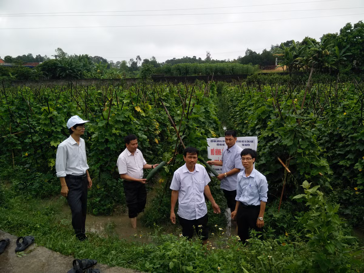 Theo TS. Trần Quốc Toàn, phân bón nhả chậm gồm hai phần: lớp vỏ bọc (polyme) và phần lõi (chứa chất dinh dưỡng). Phần lõi chứa chất dinh dưỡng gồm các loại phân dễ tan như ure, KCl, DAP, MAP.... Ngoài ra các nhà khoa học quyết định đưa khoáng sét tự nhiên bentonit vào với vai trò phụ gia, chất mang, có tính dẻo, dính, dễ dàng cho quá trình tạo viên.