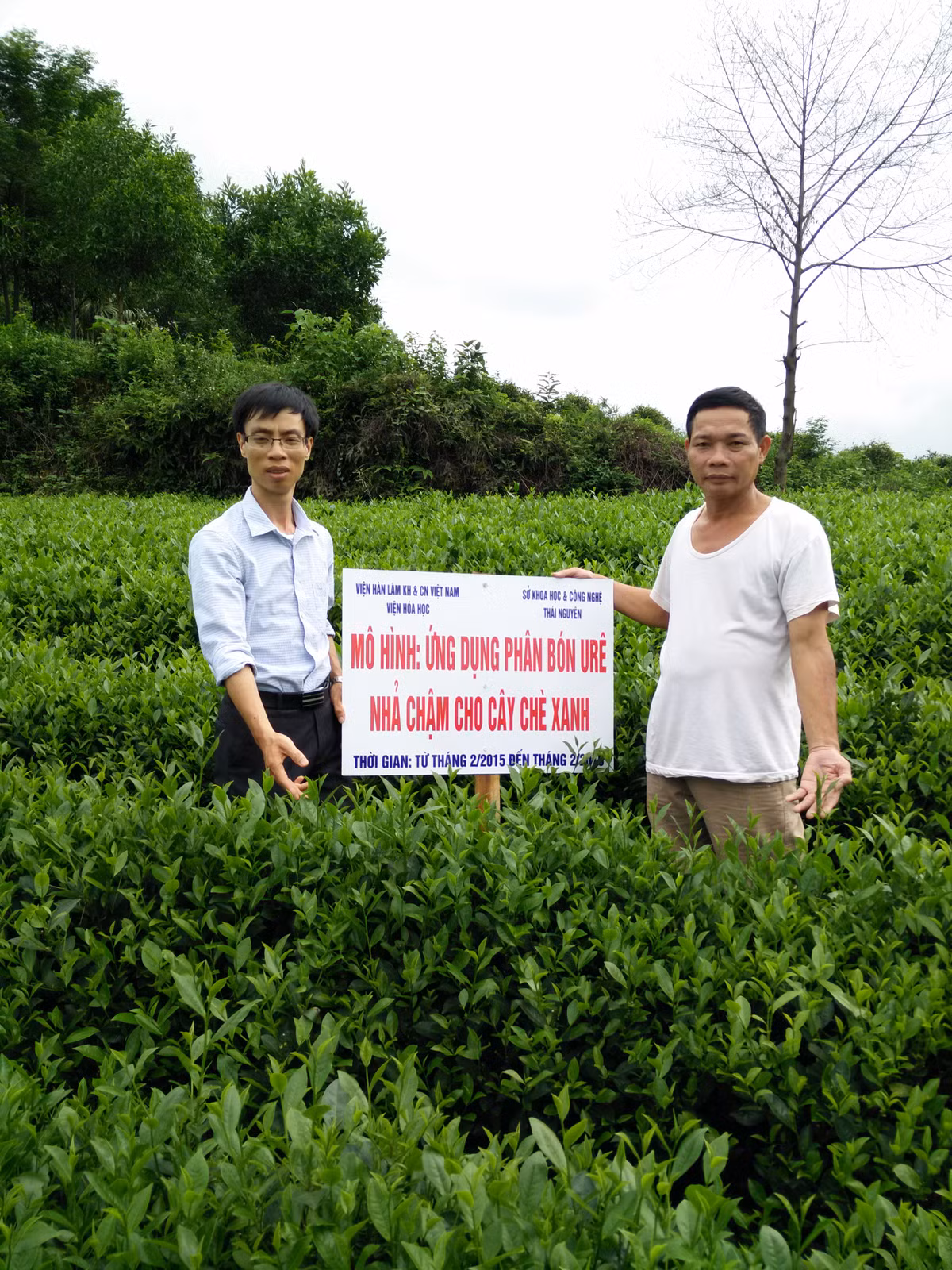 Phân nhả chậm thông minh của các nhà khoa học Việt giúp giảm lượng phân bón sử dụng từ 20-40% so với phân bón thông thường mà vẫn cho năng suất cao (tăng từ 21-35%). Điều này cho phép giảm số lần bón phân/vụ, tiết kiệm thời gian bón phân, chi phí sản xuất, không ảnh hưởng xấu đến các tính chất lý hóa của đất, thân thiện với môi trường.
