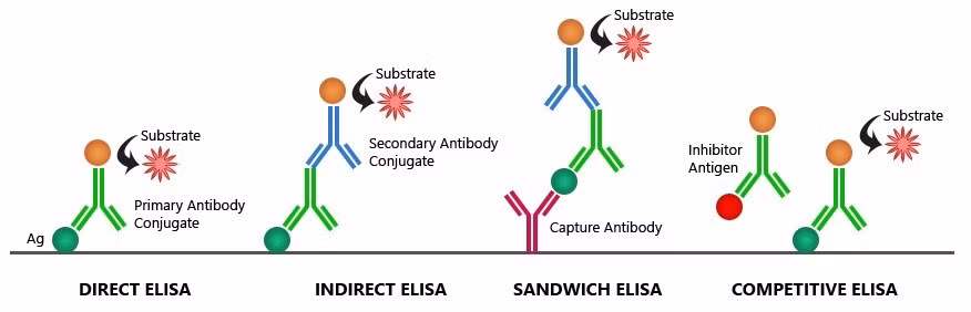 Mục đích sản xuất của các kit ELISA này là cạnh tranh với các loại kít nhập ngoại về giá (thấp hơn 1.5-2 lần) và chất lượng tương đương. 