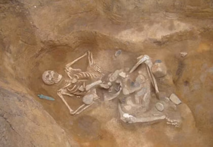 Ngoài có trong lịch sử, văn bản cổ Kinh Thánh, Viện Smithsonian tại Mỹ, cùng với các cơ quan khoa học khác, đã tham gia vào nghiên cứu về những bộ xương người khổng lồ được phát hiện. Chúng thường được bao phủ trong bí ẩn và đôi khi được dán nhãn là trò lừa bịp. Ảnh: @Wix.