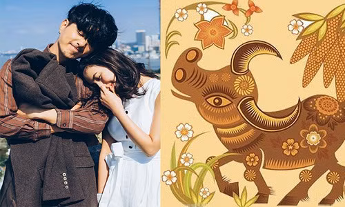  Tuổi Sửu: Người nam tuổi Sửu rất thành thật, chất phác, làm bất cứ việc gì cũng hết sức hết lòng và không bao giờ có tâm địa xấu xa hay làm việc khuất tất và đặc biệt rất coi trọng tình cảm. 