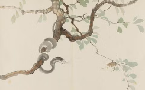 Tuổi Tỵ: Do ngũ hành của người tuổi Tỵ là “Tỵ Hỏa” tức Âm Hỏa, còn năm Tuất lại là “Tuất Thổ” là Dương Thổ, mà Hỏa Tỵ sinh Dương Thổ, âm dương tương hợp nên con giáp này sẽ “gặp hung hóa cát”.