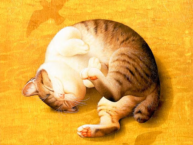 Tuổi Mão: Người tuổi Mão tư duy linh hoạt, nhanh nhẹn. Trong 33 ngày tới, vận đen của con giáp này được hóa giải hoàn toàn.