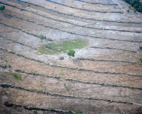 Bức ảnh cho thấy về nạn phá rừng ở Tangara da Serra, Mato Grosso, Brazil, năm 2015.