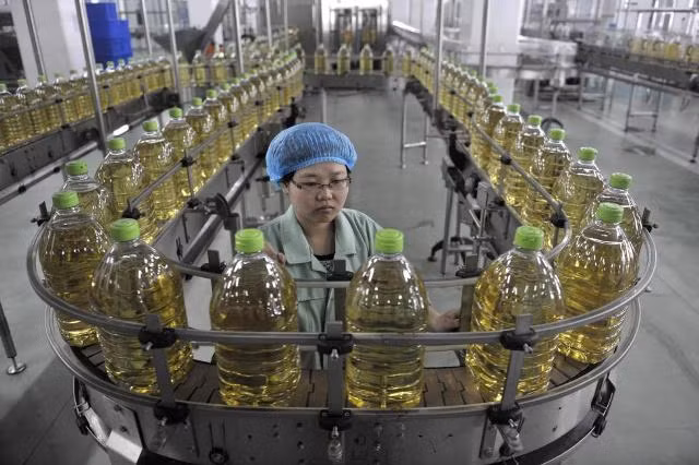 Công nhân đứng dây chuyền sản xuất dầu ăn ở một nhà máy tại Hà Bắc.