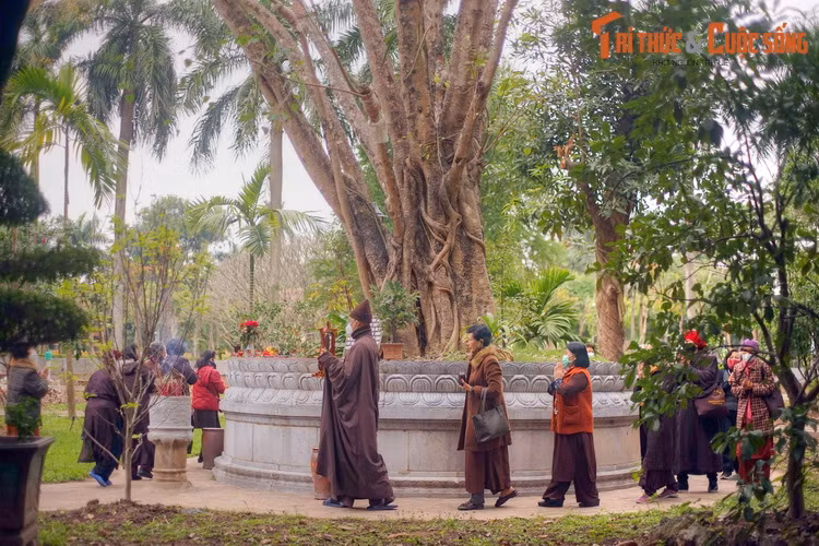 Bồ đề được xem là loài cây thiêng liêng trong Phật giáo. Tương truyền xưa kia, thái tử Tất-đạt-đa Cồ đàm đã ngồi thiền định dưới gốc cây mà đạt tới chân lý, đạt tới sự giác ngộ để trở thành Phật.