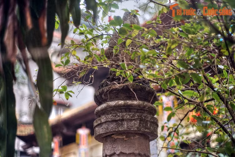 Trên một số phương diện, hiện vật có thể sánh ngang với Bảo vật quốc gia - cây hương đá chùa Tứ Kỳ, đang được bảo quản và trưng bày ở Bảo tàng Lịch sử Quốc gia.
