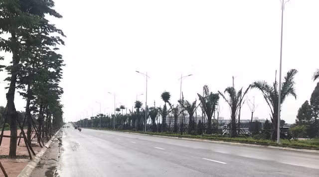 Khu pho Thanh Ha dang thay da doi thit tung ngay-Hinh-2