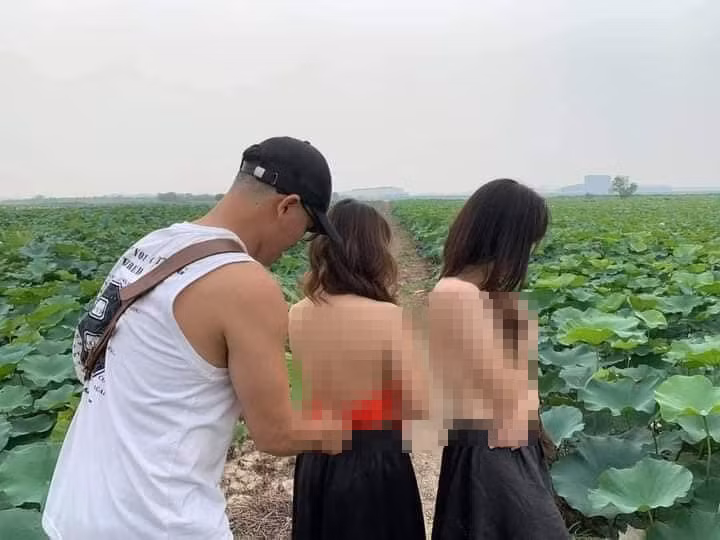 Không hiểu vì lý do gì mà nhiều người rất thích tạo dáng phản cảm, gây sốc trong hồ sen. Việc ăn mặc hớ hênh, lợi dụng áo yếm và sen để khoe thân, tìm kiếm sự nổi tiếng hay thu hút sự chú ý đã nhiều lần làm netizen lên tiếng phản đối.