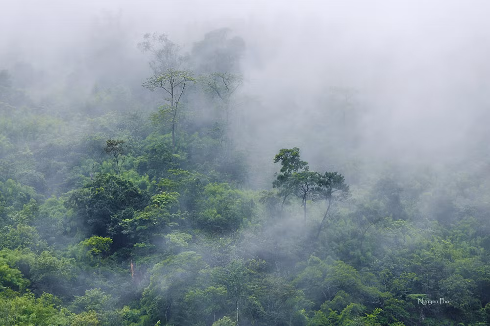 Ngày nay đến đèo Sa Mù, du khách không chỉ được trải nghiệm sự hoang sơ hùng vĩ của đèo cao, mây trắng mà còn được tham quan trang trại nông nghiệp, công nghiệp cao trồng hoa lan hồ điệp, dâu tây, cà chua thân gỗ, cẩm tú cầu... trong cái lạnh đặc trưng của vùng tiểu Đà Lạt và sương mù giăng giăng.