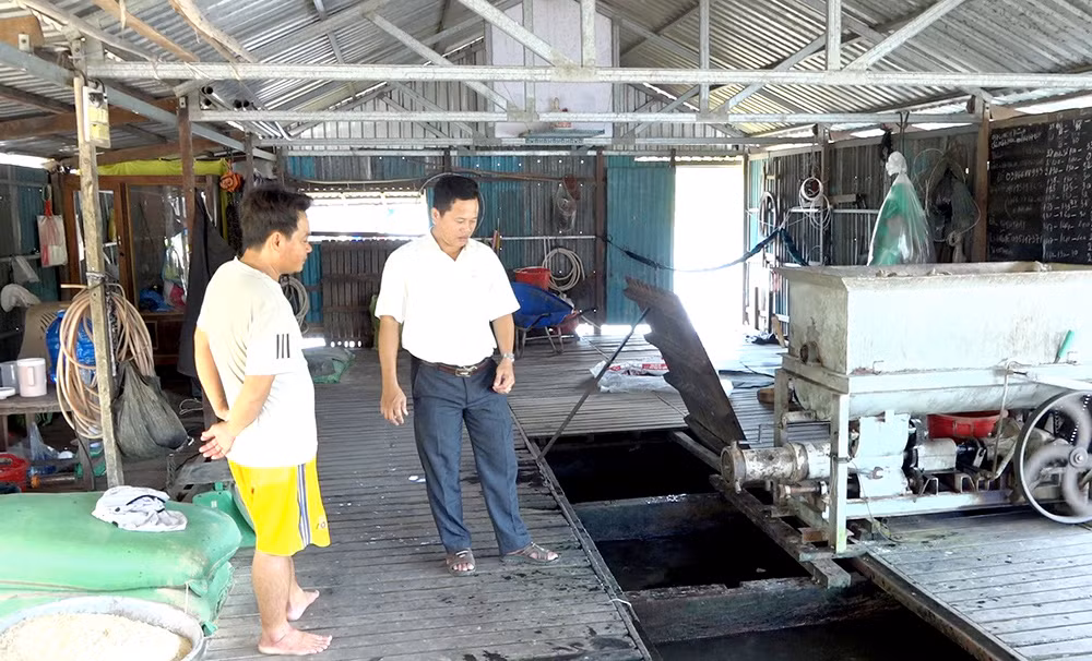 Loại cá “xấu xí” nuôi trong lồng bè được bán 150.000 đồng/kg Loai ca “xau xi” nuoi trong long be duoc ban 150.000 dong/kg