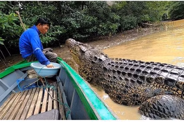 Ky la ngu dan Indonesia ket than voi ca sau dai 4 met