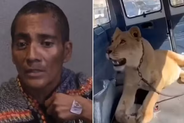 Bi su tu tan cong, nguoi phu nu lieu mang can lai con vat