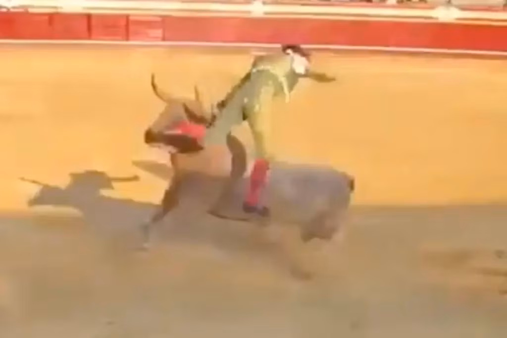 Hai hung canh vo si bi bo tot huc vang len khong trung