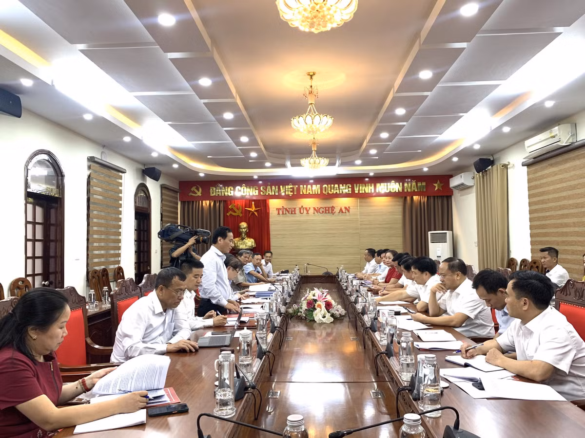 Dang doan Lien hiep Hoi Viet Nam lam viec voi Tinh uy Nghe An-Hinh-4