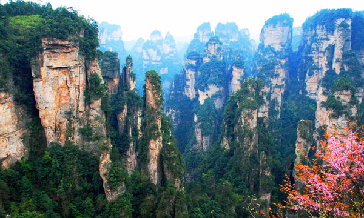 Trương Gia Giới, Hồ Nam: Nơi này thu hút du khách bởi cảnh quan hoang sơ, hùng vĩ, những hẻm núi sâu, cột đá cao vút, độc đáo hay những cung đường quanh co, hiểm trở. Đặc biệt, những cột đá ở đây chính là nguồn cảm hứng cho các nhà làm phim tạo nên ngọn núi bay huyền ảo trong phim Avatar.