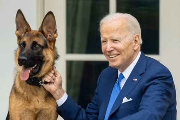 Can 10 mat vu, cho cung cua ong Biden bi dua di huan luyen