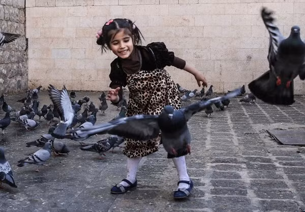 Bé gái Syria xinh xắn cười tươi chơi đùa cùng lũ chim bồ câu.