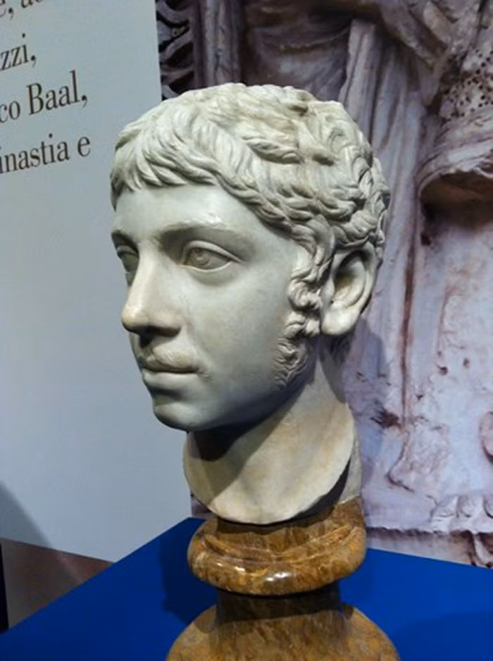 Tuy nhiên, do là một ông hoàng nên Elagabalus không phải đối mặt với bất cứ hình phạt nào.