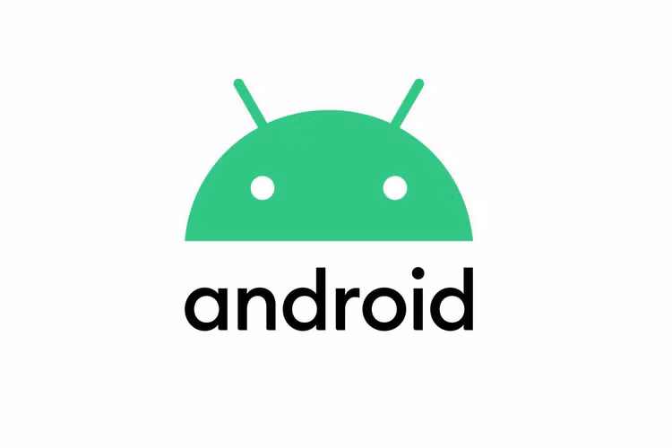 Den ca Pixel doi cu cung duoc ho tro cap nhat Android 10-Hinh-3