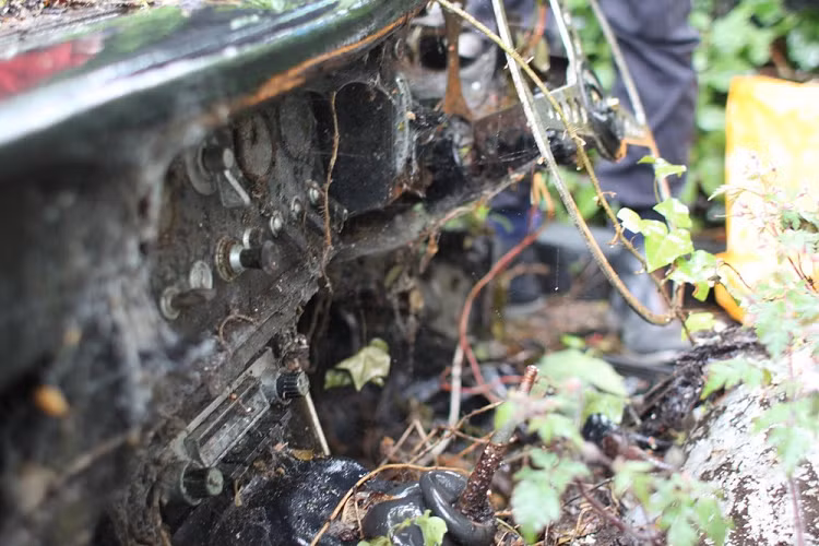 Chiếc Jaguar E-Type nằm lẫn vào những lùm cây trong rừng. Phần nội thất đã hỏng hoàn toàn của chiếc Jaguar E-Type