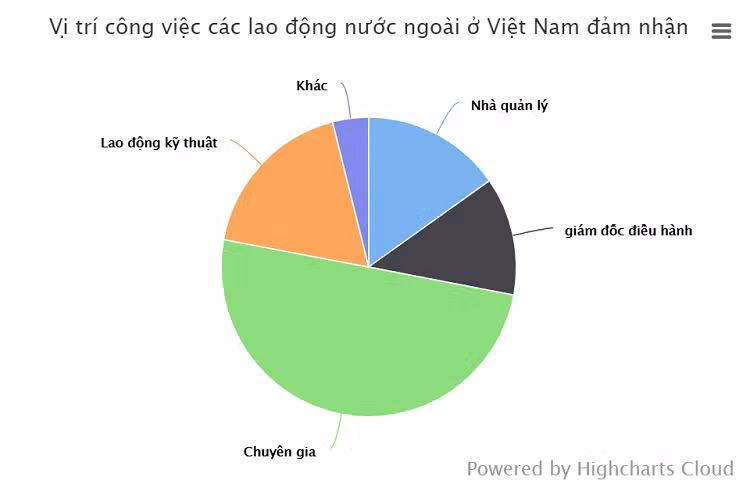 90 nghin lao dong nuoc ngoai o Viet Nam, toan sep lon va luong cao-Hinh-2