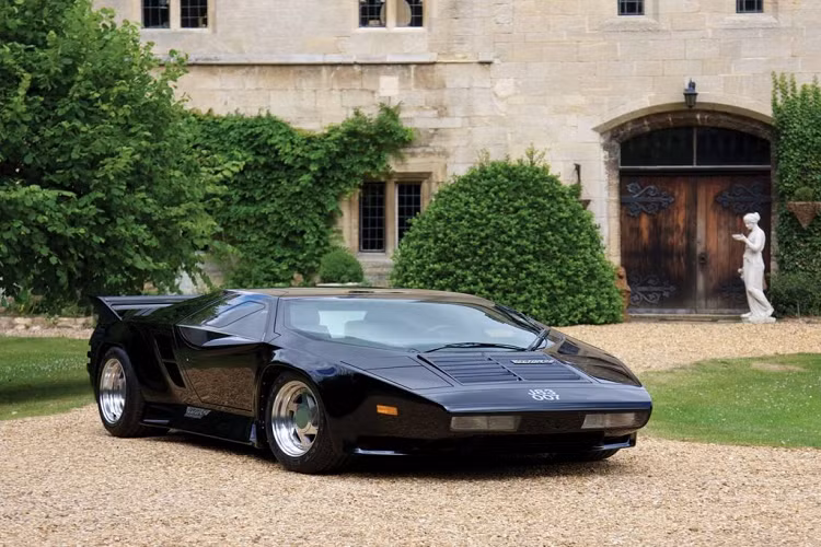 Vector W8 Twin-Turbo - là một siêu xe hàng hiếm được sản xuất từ 1989 – 1993 bởi Vector Motors, Mỹ. Vector W8 chỉ được sản xuất 18 chiếc trên toàn thế giới. 17 chiếc trong số đó được bán cho các khách hàng trong khi chiếc cuối cùng được giữ lại để trưng bày. Giá bán của mỗi chiếc là 448.000 USD. Xe được trang bị động cơ twin-turbo V8 dùng công nghệ từ Chevrolet, cho công suất cực đại 650 mã lực.