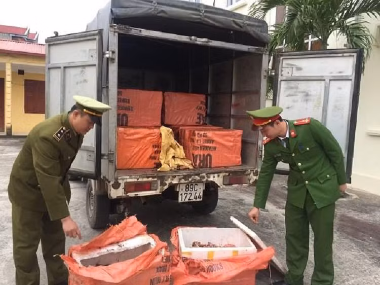 Thit lon ban tuon ve Ha Noi nhan con 