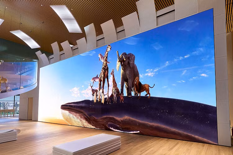 Noi bo Samsung mau thuan - ke theo Oled, nguoi chon Microled-Hinh-4