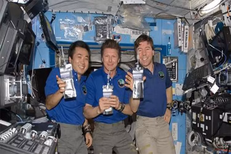 NASA bien phan nguoi thanh thuc an cho phi hanh gia-Hinh-3