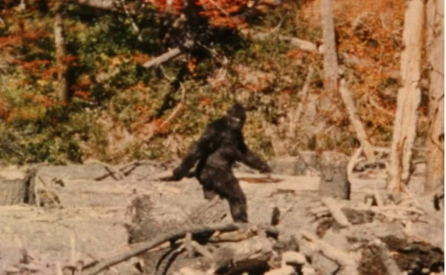 Một đoạn video mới về tiếng hú của Bigfoot được ghi lại bởi một thợ săn ở Canada và nhanh chóng thu hút sự quan tâm của công chúng.