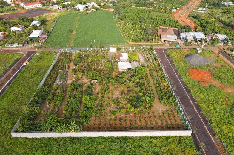 Gia Lai: Co quan CSDT yeu cau dinh gia 7.679 m2 bo ngoai quy hoach