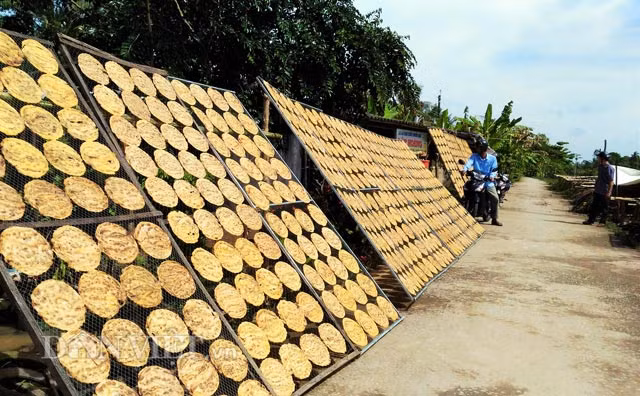 Không ai biết nghề này có từ bao giờ, chỉ biết nơi đây là nghề cha truyền con nối, đã được mấy đời. Để có miếng chuối khô, ngon, dẻo, dai phải chọn cho được loại chuối xiêm thật già, chín đều. Các công đoạn làm chuối khô rất dễ, nhưng không phải ai muốn làm cũng được. Ảnh: Dân Việt.