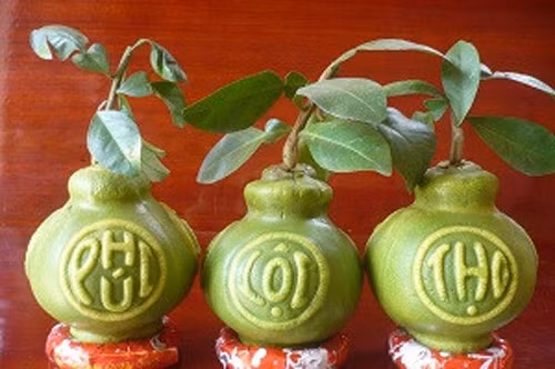 Trên thị trường những năm gần đây xuất hiện rất nhiều loại trái cây tạo hình độc lạ trưng Tết như: Bưởi hồ lô, bưởi lệ cát tường (hình bàn tay), dưa hấu vuông, dưa hấu thỏi vàng…Ảnh: Chinhphu.