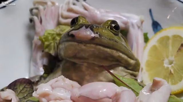 Sashimi hải sản đã trở thành món ăn nổi tiếng trong ẩm thực Nhật Bản. Tuy nhiên, sashimi ếch sống là thứ không phải ai cũng dám thử. Ảnh: Smatterist.