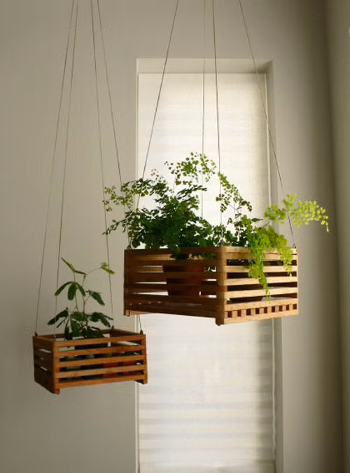 Những thùng khung gỗ cũng được tận dụng làm giỏ treo vườn cây.