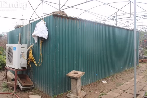 Đào Thất Thốn vốn được mệnh danh là đào quý tộc, đào tiến vua nên luôn được người chơi săn đón, dù giá đắt đỏ. Nhiều gốc đào đẹp đã được đặt hàng trước Tết vài ba tháng. Ảnh: Emdep.