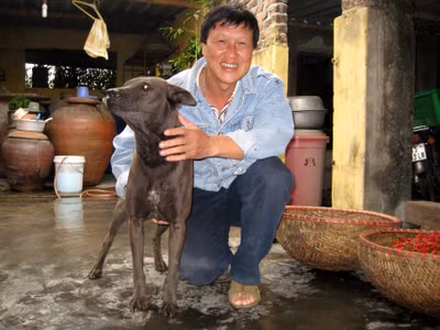 Đại gia Mai Quang Tuấn (tức Tuấn "trắng", ở phường Đông Hải, quận Hải An, Hải Phòng), sở hữu trang trại nuôi chó rộng 1.000m2, chuyên cung cấp các loại chó cảnh cho dân chơi trong và ngoài TP Hải Phòng.