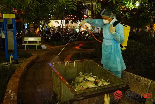 Tất cả số cá vớt lên đều được khử trùng tại chỗ trước khi mang đi xử lý.