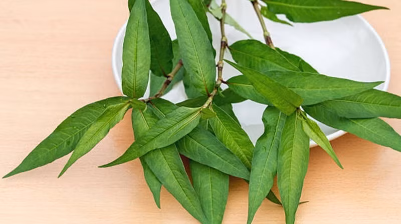 Điểm danh những loại thực phẩm kỵ thịt gà chị em cần biết - Hình 4 Diem danh nhung loai thuc pham ky thit ga chi em can biet-Hinh-4