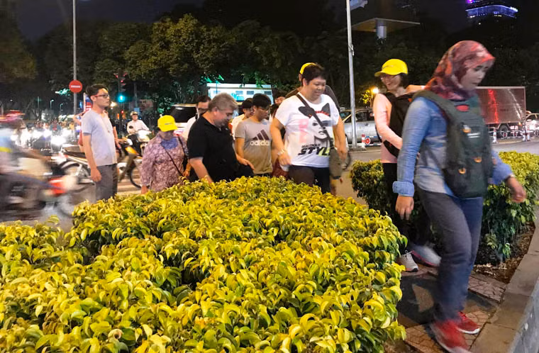 Trên nhiều tuyến đường ở trung tâm TP đông đảo du khách nước ngoài đến du lịch Việt Nam đúng vào dịp ngày Tết Độc Lập.