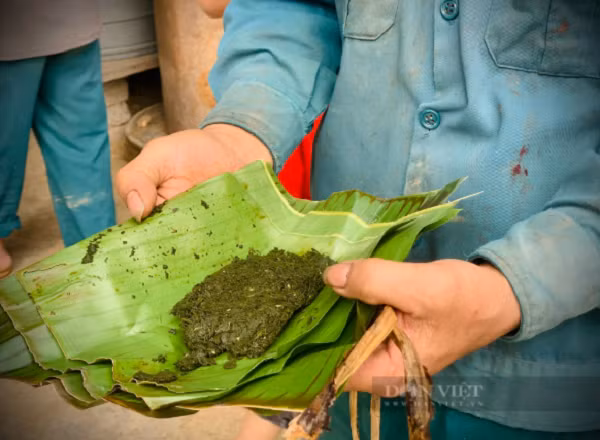 Ve thu phu nuoi huou sao lay nhung lon nhat ca nuoc-Hinh-5