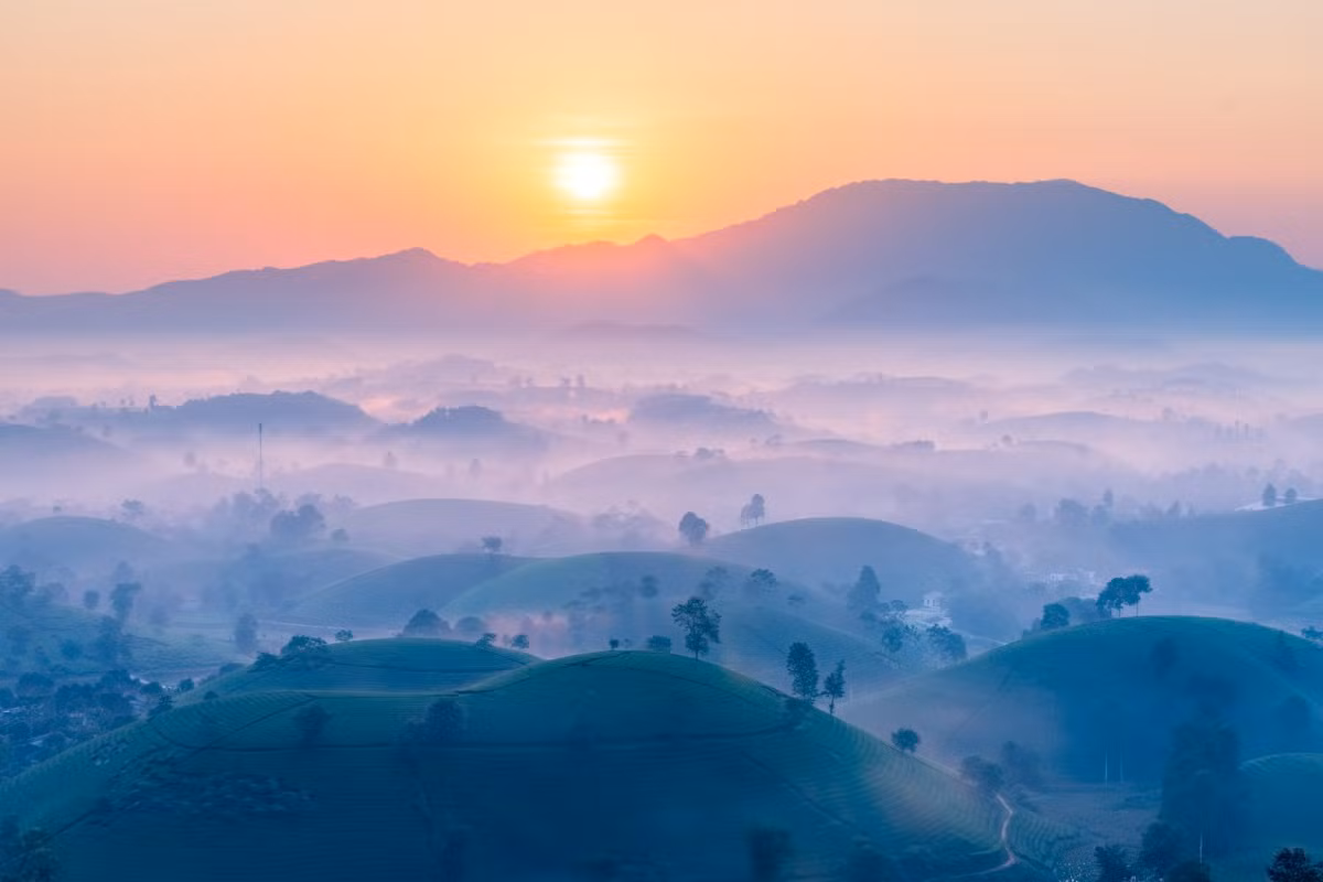 Không gian tuyệt vời tại đồi chè không chỉ thu hút nhiều bạn trẻ đến đây vui chơi mà còn được các cặp tình nhân lựa chọn làm địa điểm chụp ảnh cưới vô cùng ấn tượng. Ảnh: Nguyễn Anh Chiêm
