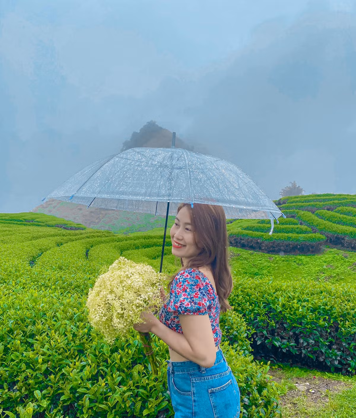 Những luống chè xanh được tạo hình sinh động, lãng mạn đã trở thành điểm check in được du khách yêu thích. Ảnh: Oanh July