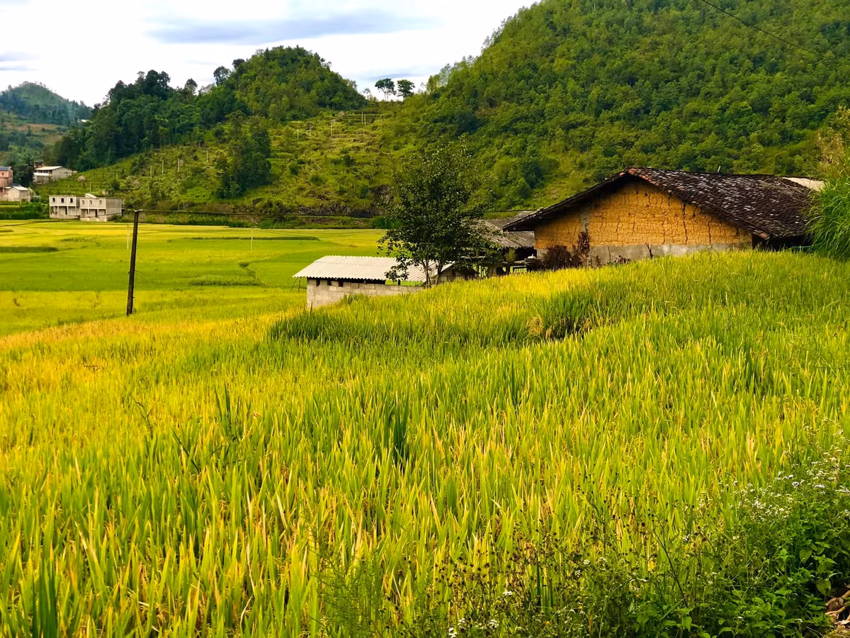 Tới đây vào ngày đầu xuân nhiều du khác thích thú khi thử trải nghiệm một tối đầm ấm với món gà nướng, uống rượu ngô. Ảnh: Phạm Hằng/Check in Vietnam