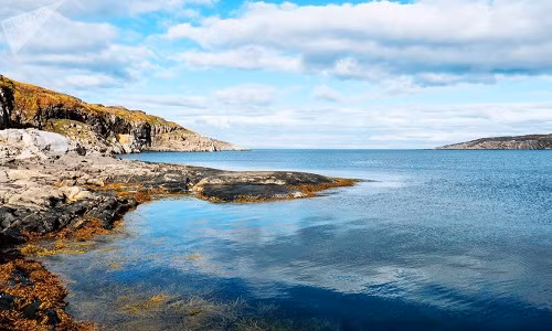 Murmansk, thủ phủ của tỉnh cùng tên ở nước Nga, là thành phố lớn nhất thế giới nằm trên vòng Bắc Cực. Vùng đất Murmansk có phong cảnh thiên nhiên tuyệt đẹp, thực sự là địa điểm du lịch lý tưởng với du khách. (Nguồn ảnh: Sputnik)
